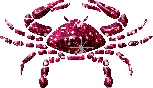 cancer